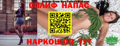 spice Бузулук