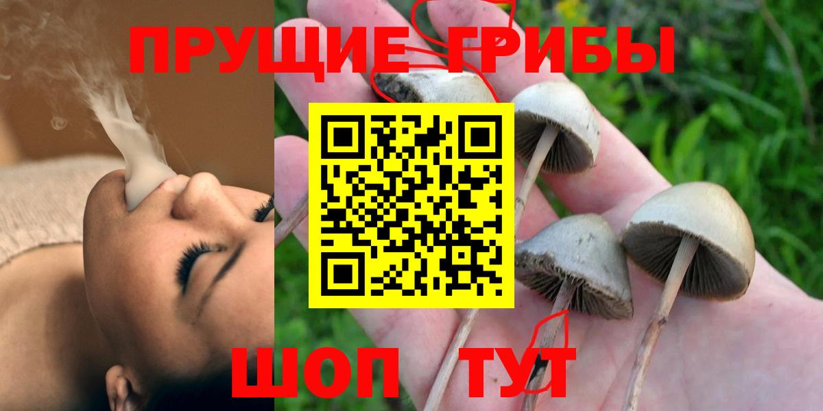 Апшеронск  Галлюциногенные грибы Cubensis  Галлюциногенные грибы Psilocybe  Вход с VPN 